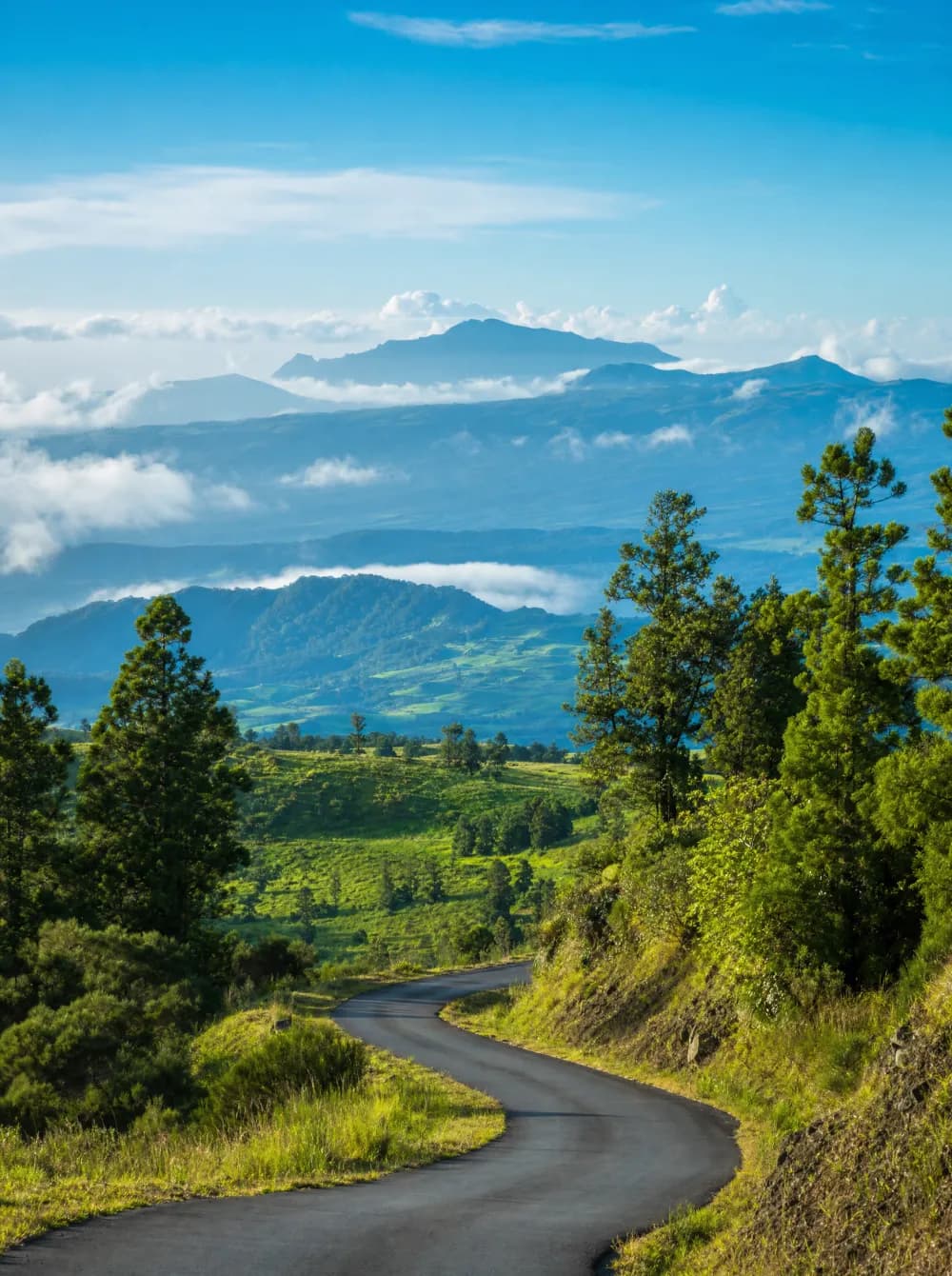 Route sinueuse dans les Hauts de La Plaine des Cafres